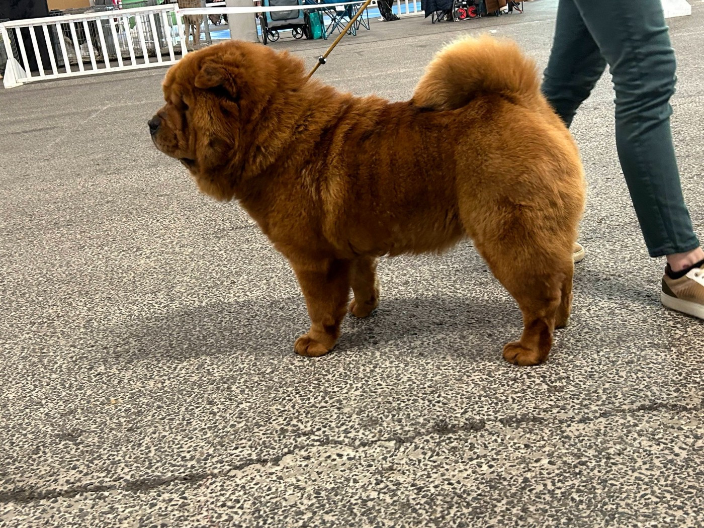 Valentine De La Rivière Au Soleil