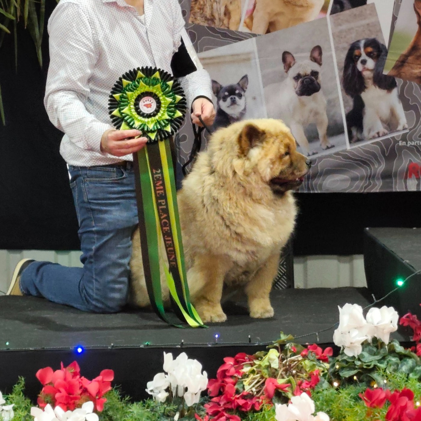 Exposition ROUEN 2025 et qualification CRUFT 2026