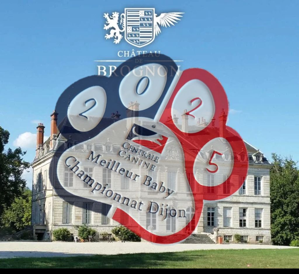 Résultats de Championnat de France 2025 à Brognon