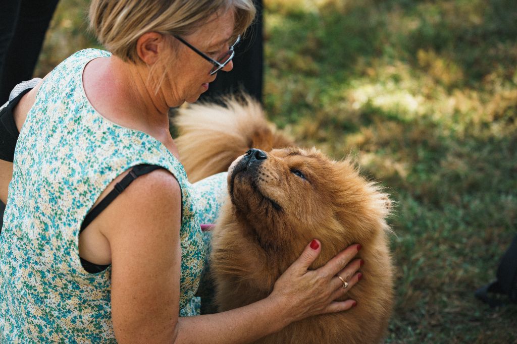 NE Chow-Chows 2023